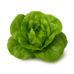 Restaurantsalat 400gr
